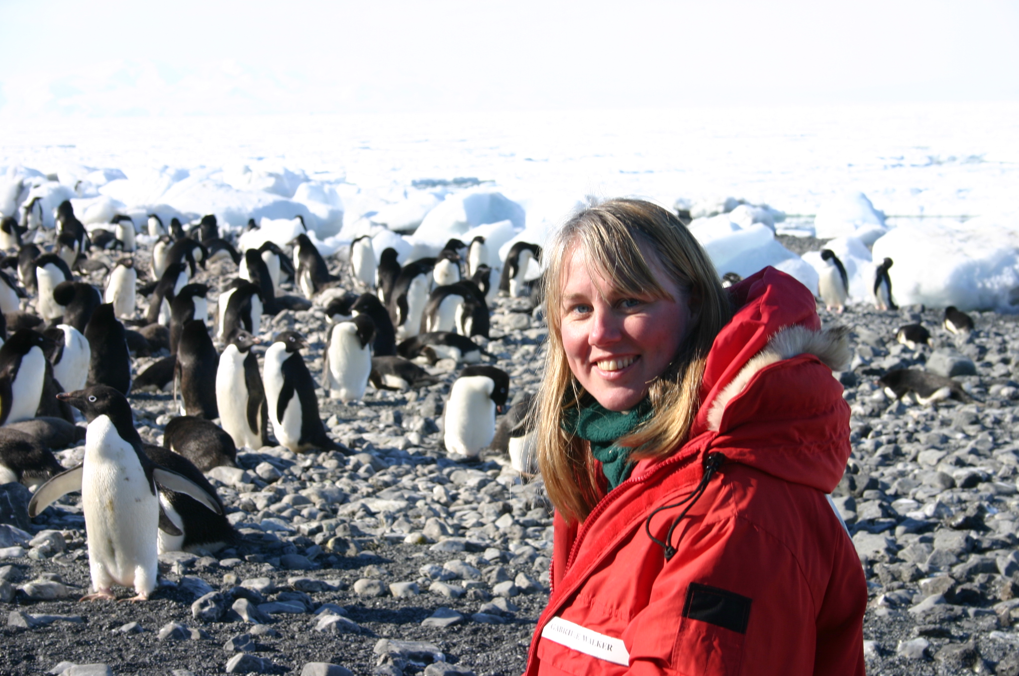 Gabrielle Walker penguins